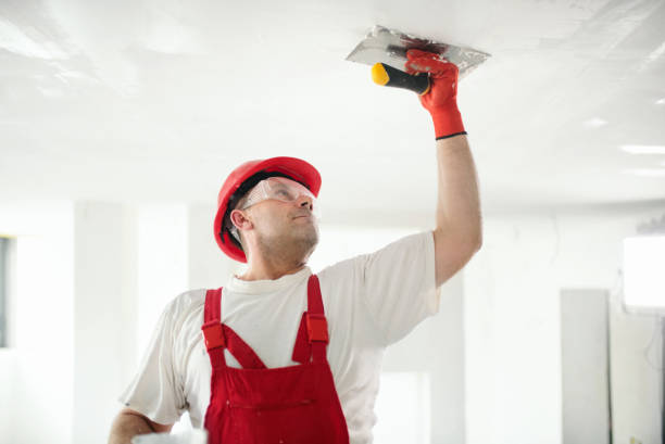 Best Interior Painting  in Joliet, IL